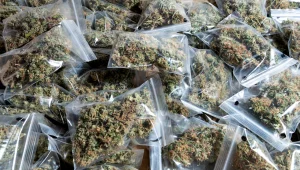 Weed Deals — Ultimate Guide to Finding Deals, Discounts and Savings