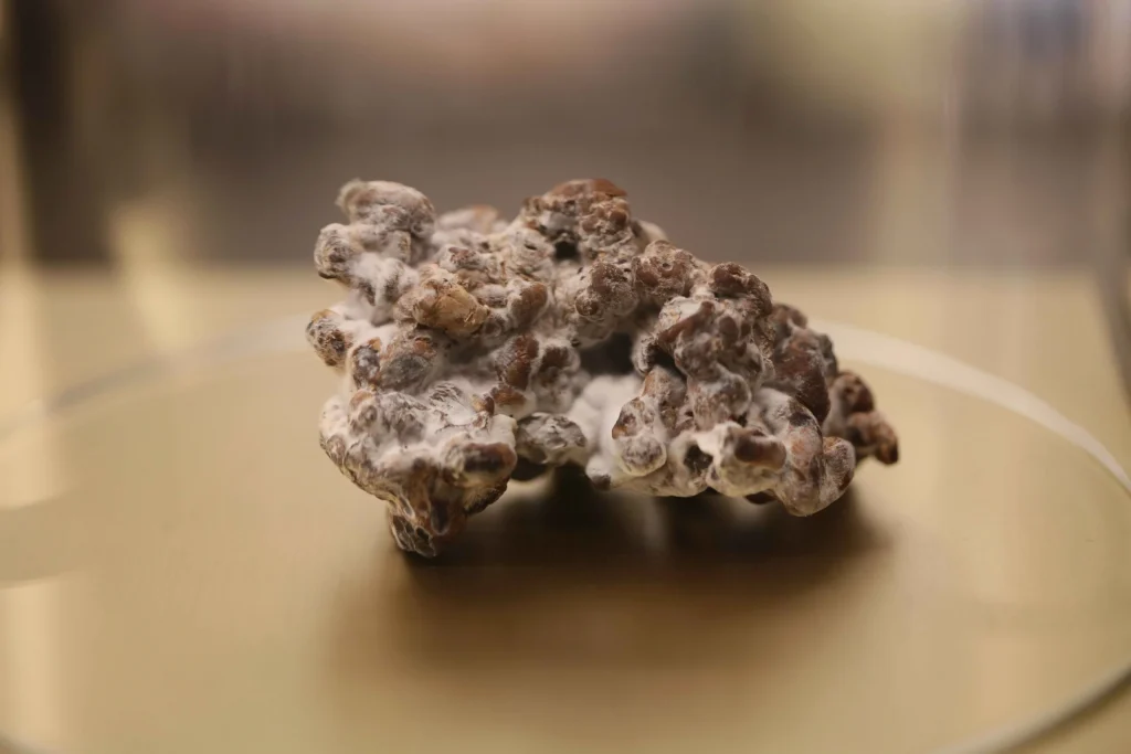 Magic Truffles| Flavor Fix