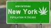 New York Cannabis Revenue