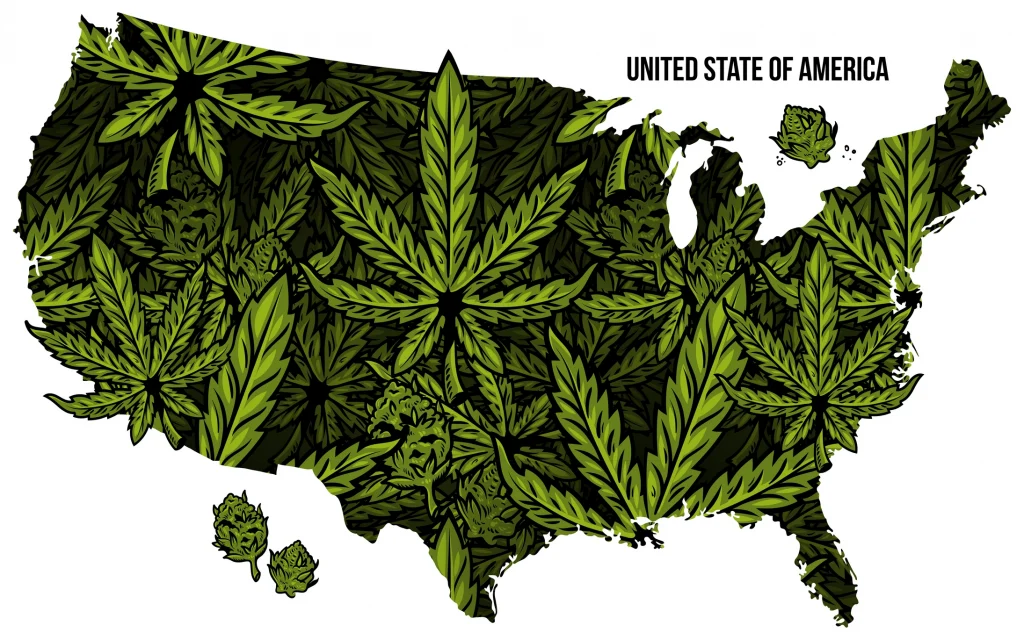 Cannabis Beverages Near Me - Your Guide to Getting Legally Lit (in Liquid Form) THC Drinks Map