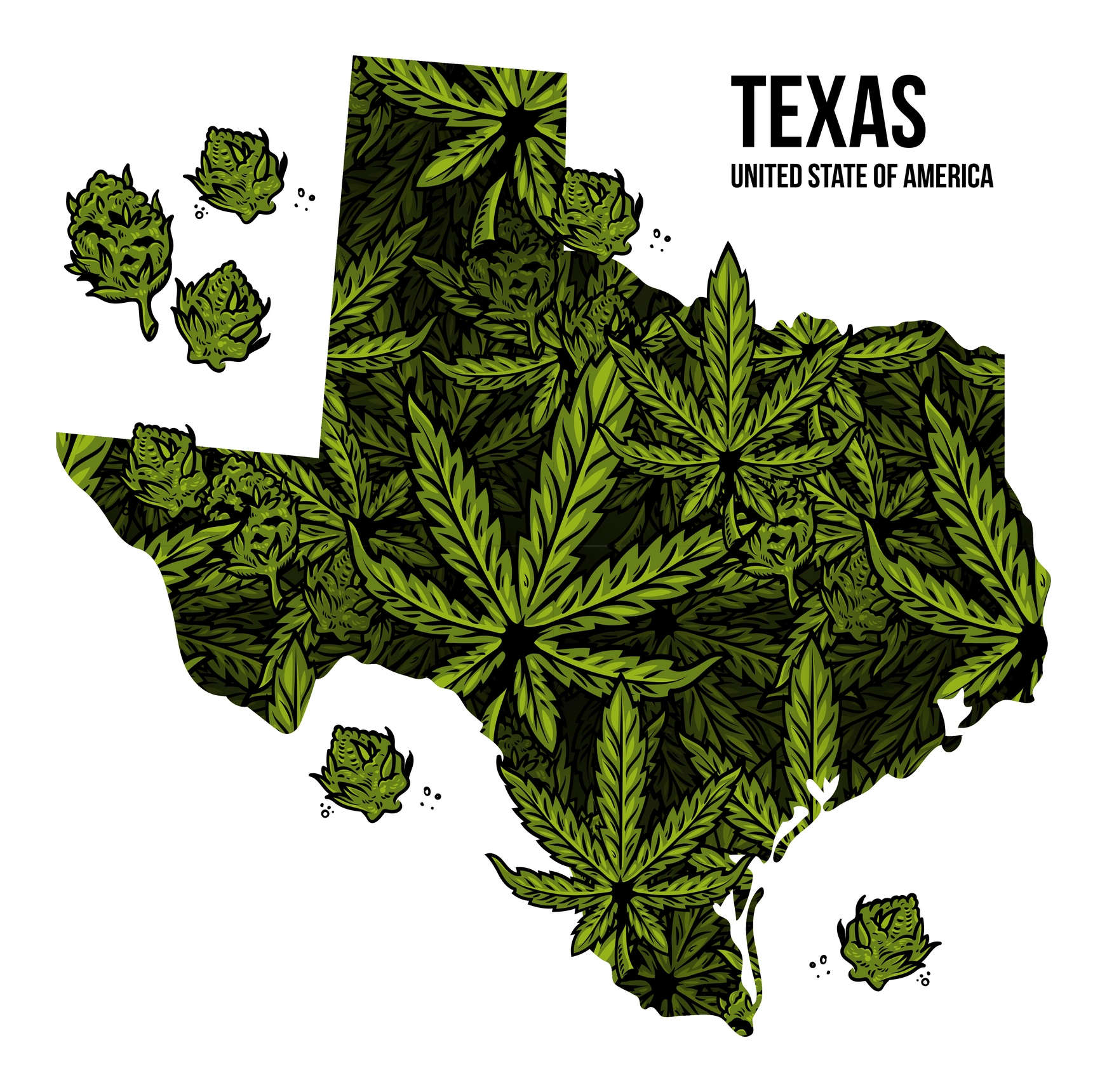 Texas Hemp Regulation