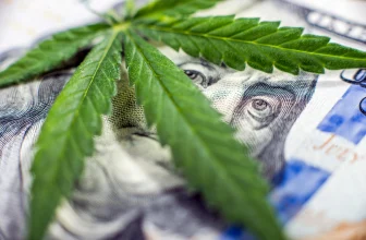 cannabis survey