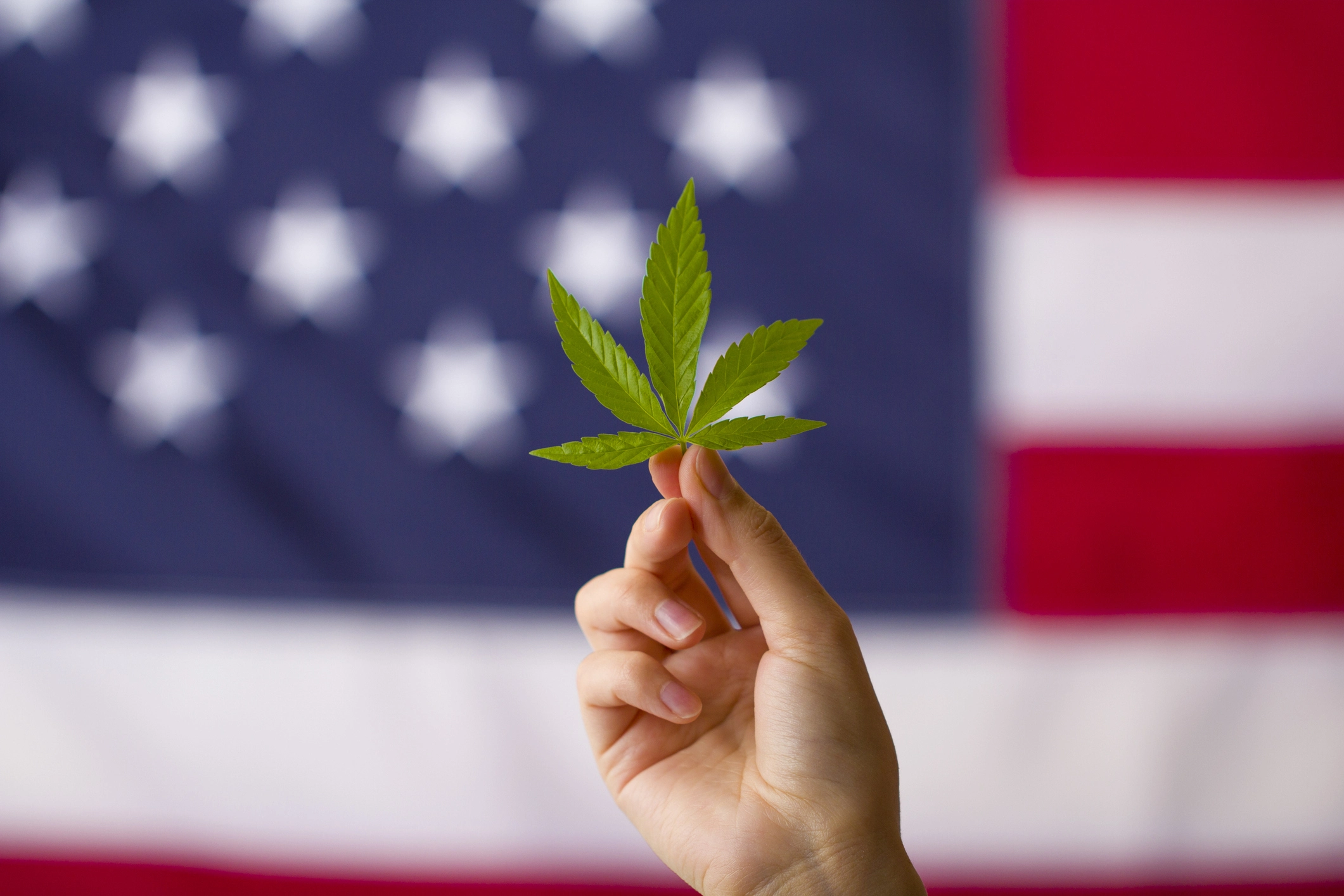 Trump Reschedules Cannabis - What Marijuana Rescheduled Means for Customers and Brands Trump Reschedules Cannabis