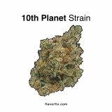 10th Planet Strain — Take a Cosmic Cruise