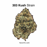 303 Kush Strain — A Classic Colorado Kush