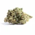 Rediscover Balance with Our Trusted CBD Brands