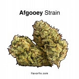 Afgooey Strain — Melt into a Happy Puddle
