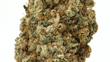 Dominant cannabinoids found in cannabis Ice Cream Cake