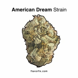 American Dream Strain — A True Melting Pot of Diverse Flavors