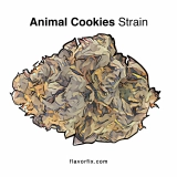 Animal Cookies Strain — Strong Enough to Sedate the Whole Zoo