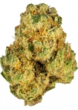 Animal Face Strain — Amped Up and Animalistic