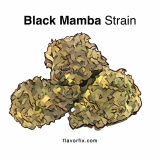 Black Mamba Strain — You Won’t Mind Getting Bit