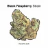 Blue Heron Strain — Glide Away on Smooth Wings