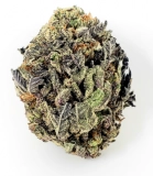 Black Widow Strain — She’s a Marvel