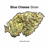 Blue Cheese OG – An Indica Perfection