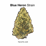 Blue Heron Strain — Glide Away on Smooth Wings