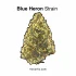 Blue Boy Strain — You Won’t Be Blue