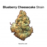 Blueberry Cheesecake Strain — Bliss Out with Blueberry Power