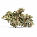 Marijuana Strains Blueberry Cookies Strain — Fruity and Nutty Fun