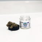 Body and Mind – West Memphis