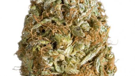 Booger Strain — Don’t Let the Name Deter You