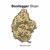 Bootlegger Strain — Get Baked