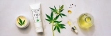CBD Cream for Sale