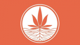 Dispensaries Cali Roots Stillwater