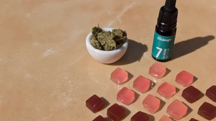 Canna Gummies – Flavorful Snacking Edibles