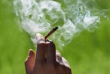 Cannabis Smoking Not Linked To Developing COPD, New Research Says