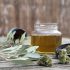 Cannabis Infused Honey Recipe