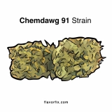 Chemdawg 91 – Strain Information & Review