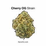 Cherry OG Strain — It’ll Put the Cherry on Top of Your Day