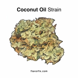 Coconut Oil Strain — Tropical Paradise in Bud Form
