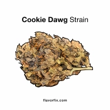 Cookie Dawg Strain — Freshly Baked Delight