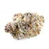 Super Lemon Haze Strain — Get Super Lifted, Lively, and Locked In