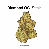 Diamond OG Strain — It’s a Rare Gem