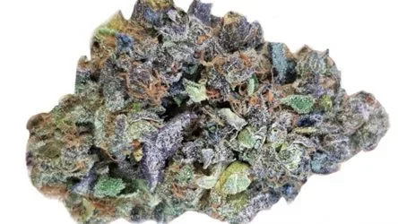 Dolato Strain — Sweet, Mind-Body Relief Without Sedation