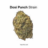 Dosi Punch Strain — Couchlocked with a One-Two Punch