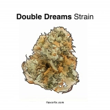 Double Dream Strain — It’ll Leave You Feeling Dreamy