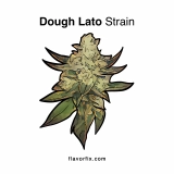 Dough Lato Strain — Remarkably Relaxing and Long Lasting