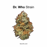 Dr. Who Strain — Transcend Time and Space