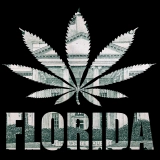 FL Marijuana Legalization — a Deep Dive on Laws