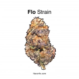 Flo Strain — It’ll Help Ya Go With the Flow