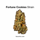 Fortune Cookies Strain — It’ll Destin Ya for a Good Time