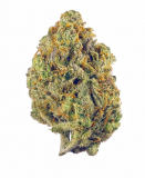 Fruit Punch Strain — Punch Your Day in the Face