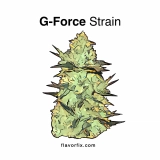 Marijuana Strains G-Force Strain — Feel the Force of Gravity Holding You to the Couch