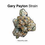 Gary Payton Strain — Play With the Best