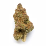 Ghost Train Haze Strain — Ride the Ghost Train to Hazy Town
