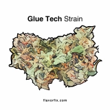 Marijuana Strains Glue Tech Strain— Sticky Without Getting Too Stuck